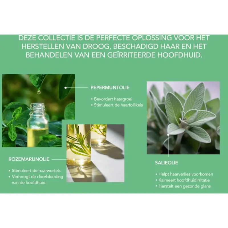 African Pride Peppermint, Rosemary en Sage Versterkende Shampoo