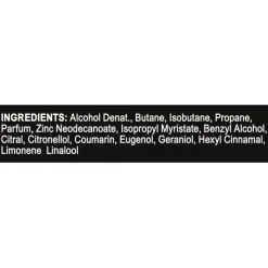 AXE Epic Fresh Deodorant Bodyspray 150 ML