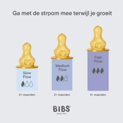 Bibs Babyfles 270 ML Sage met Latex speen en opvouwbaar trechtertje