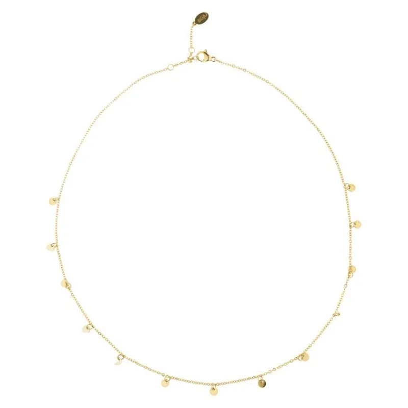 BiSjU Jewellery Ketting Munt Gold Plated