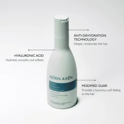 Björn Axén Bjorn Axen Moisture Conditioner 250 ML