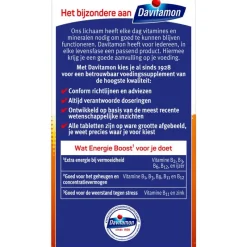 Davitamon Energie Boost Forte Kauwvitamines Bosvruchtensmaak
