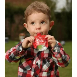 Ella's Kitchen Fruit Smoothie The Red One Bio Knijpfruit 6+ Maanden 90 GR
