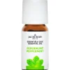 Jacob Hooy Essentiële Olie Pepermunt 10 ML