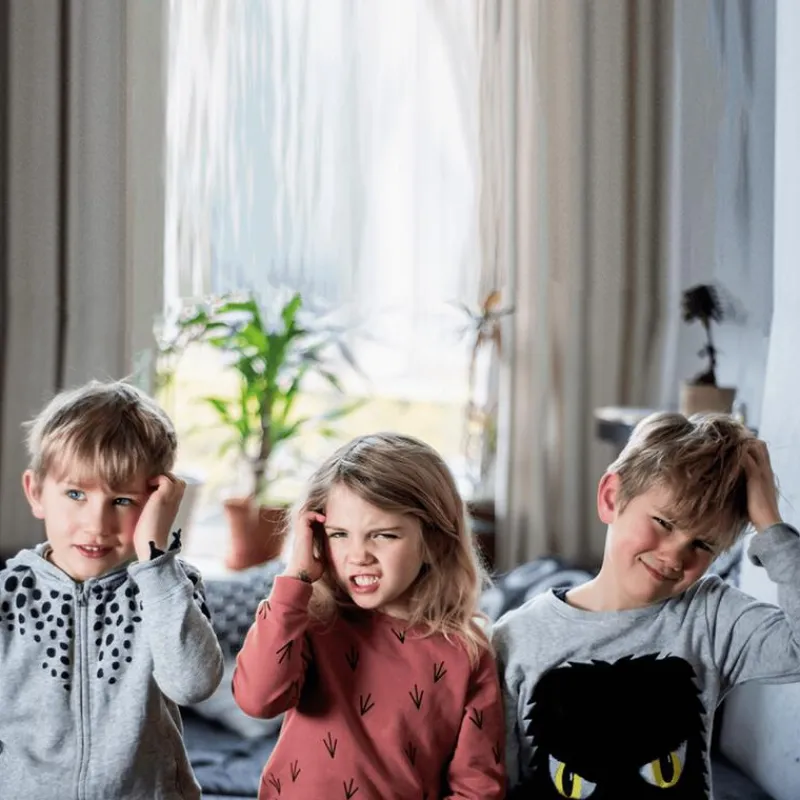 Licener Anti-Luis shampoo 100 ML natuurlijke ingrediënten 100% effectief