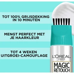 L'Oréal Paris L Oréal Paris Magic Retouch Permanent 6