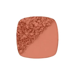 L'Oréal Paris True Match Le Blush 160 Pêche Roze 5 GR