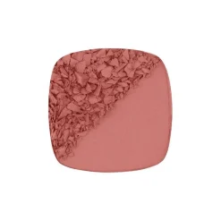 L'Oréal Paris True Match Le Blush 5 GR