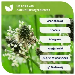 Natterman Voor Alle Hoest Kindersiroop 180 ML