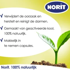 Norit 200 mg 30 Capsules