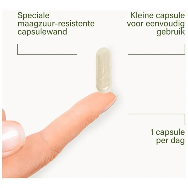 Nupure probaflor - Probiotica complex, hooggedoseerd met inulin, 30 capsules