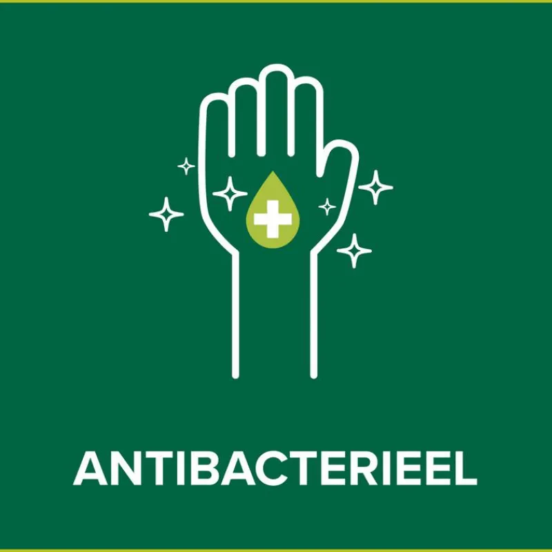 Palmolive Hygiëne Plus Clean & Fresh Antibacteriële Vloeibare Handzeep 500 ML