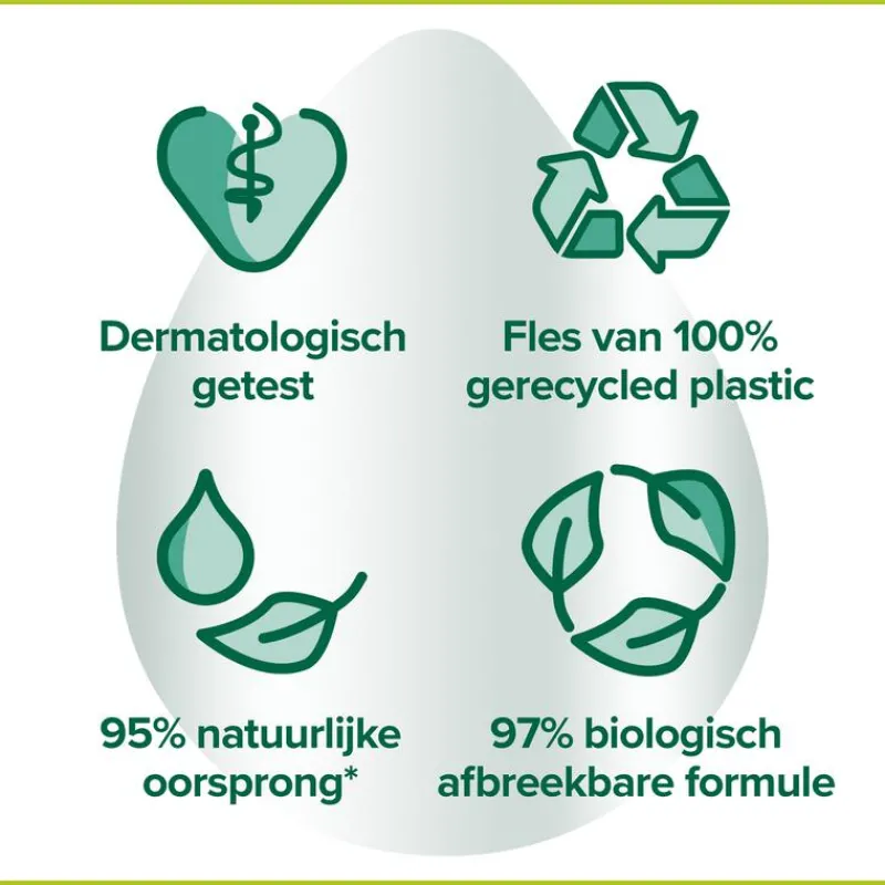 Palmolive Hygiëne Plus Family Antibacteriële Vloeibare Handzeep 300 ML