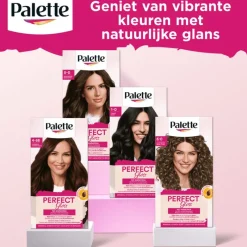 Poly Palette Perfecte Gloss Color Haarverf 6-0 Licht Bruin
