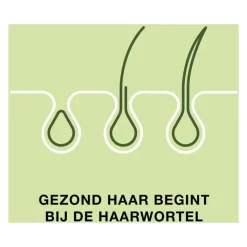 Priorin 60 Capsules Met Biotine Voor Sterk En Vol Haar Van Binnenuit