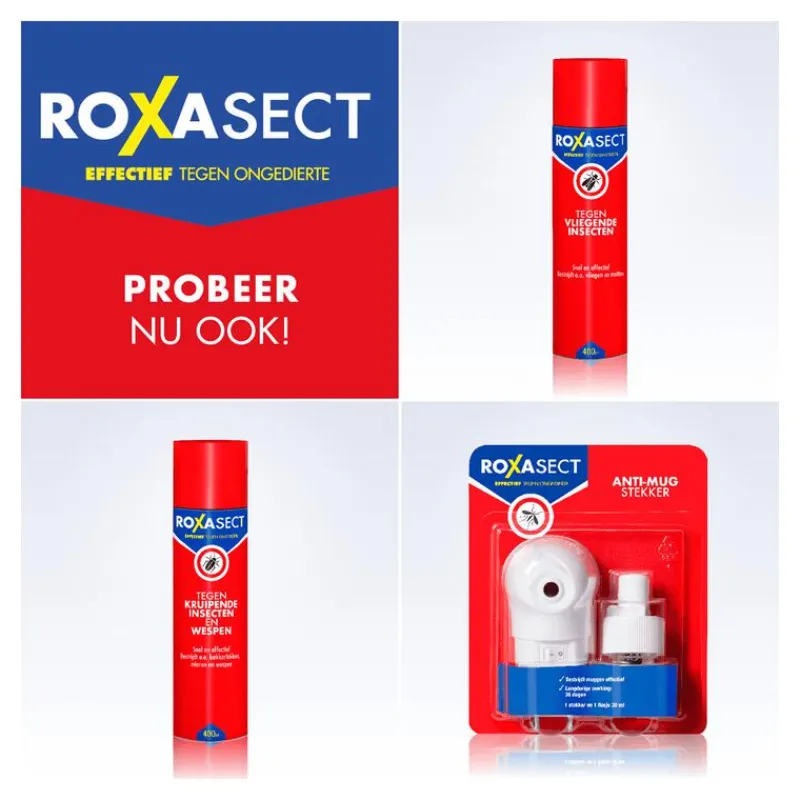 Roxasect Fruitvliegjes Vanger 1 stuk