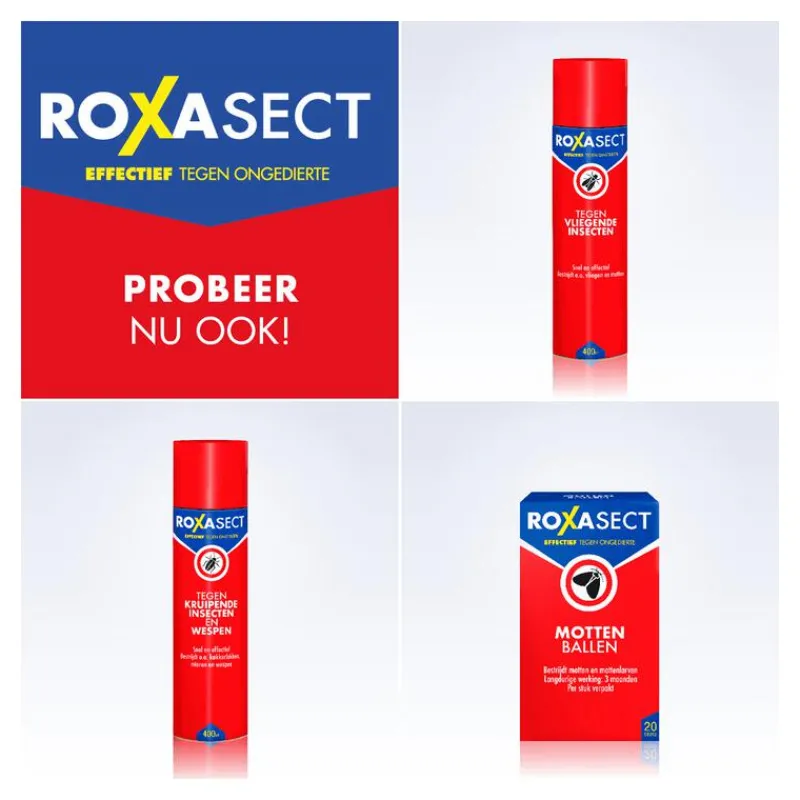 Roxasect Zilvervisjesval 2 stuks