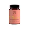 Viv support Vivsupport Pre Menstrual Support 60 stuks